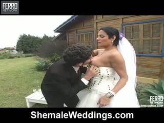 Shemale Wedding Porn - Bride shemale :: Free Porn Tube Videos & bride shemale Sex Movies