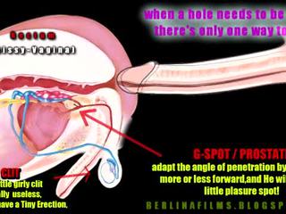 쉬 메일 aanatomy(some 종류 의 sissy-trainer)