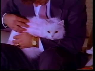 The roosa pussycat (1992)