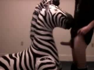 Zebra gets throat körd av pervert guy video-