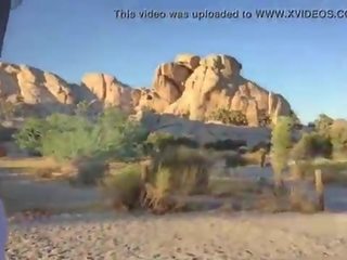 felicity feline rides motorcycle to joshua tree and plays outside