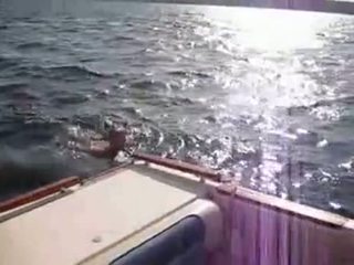 Boat anal porn videos, Boat sex movies