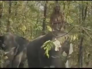 Queen of the Elephants, Free Free Queen Porn 54