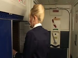 Furry Airplane Porn Stewardess - Enjoy Stewardess fuck porn, Stewardess porn